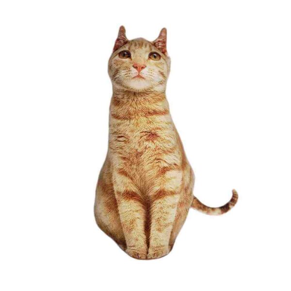 cojin de gato
