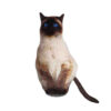 cojin de gato