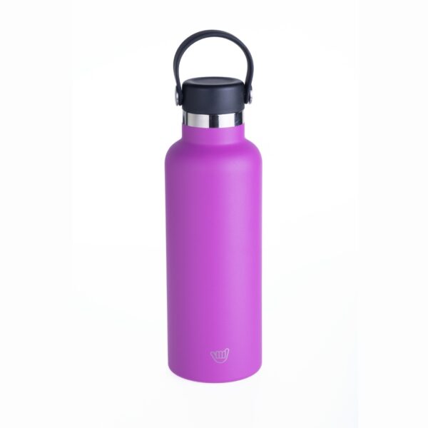 Tomatodo WeCool 650 ml violeta