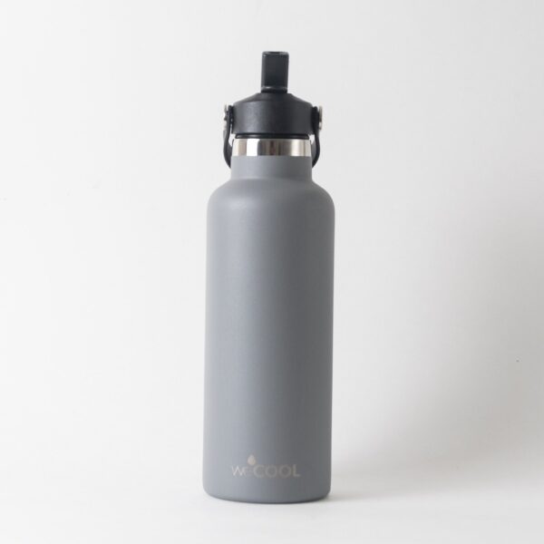Tomatodo con pico WeCool 650 ml gris