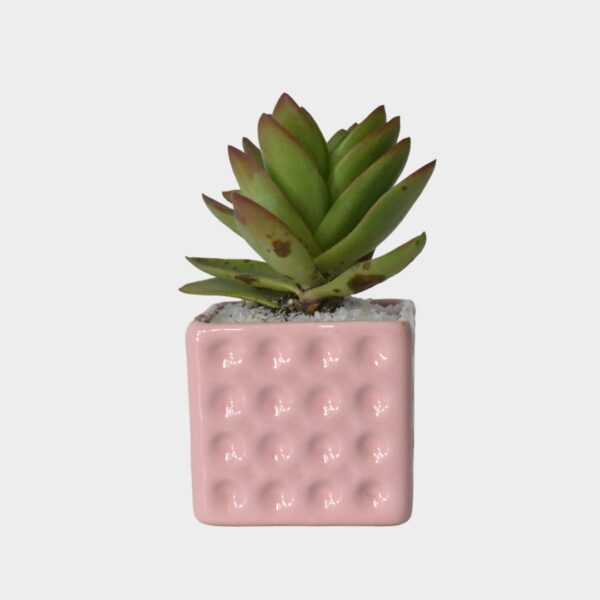 Maceta Rosa Ladrillo