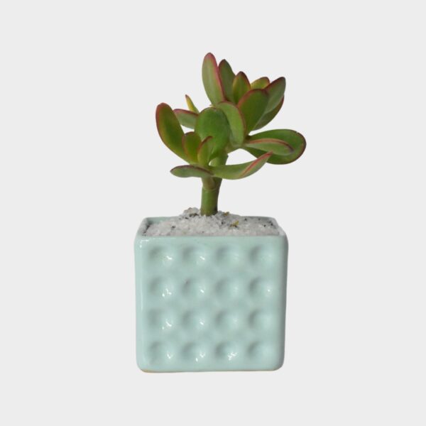 Maceta Aqua Ladrillo