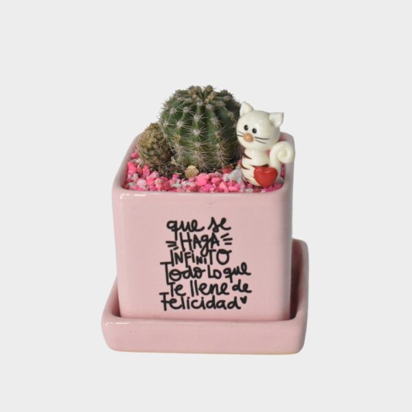 Maceta Rosa Frase Inspiradora