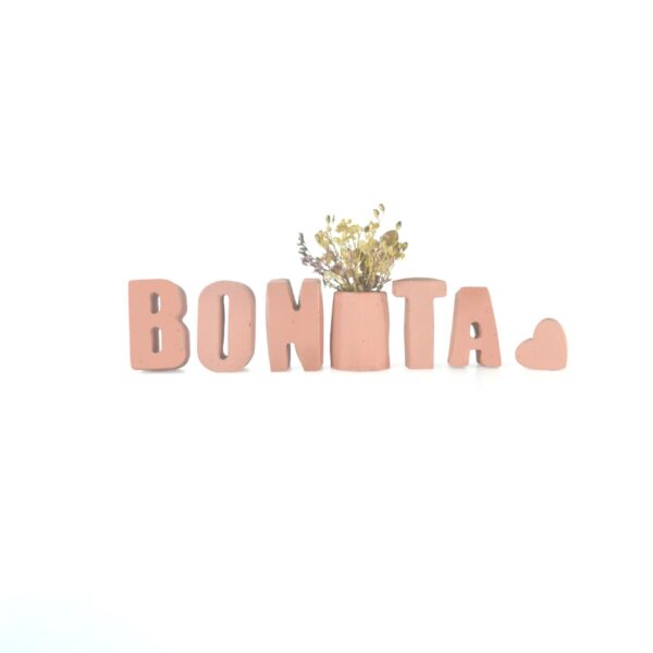 Bonita en concreto Rosa